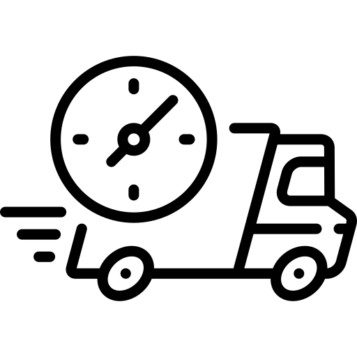 Fast Delivery Shipping Icon